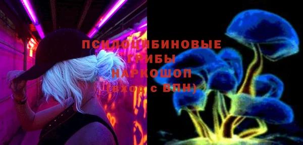 ешки Бронницы