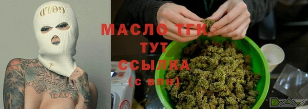 дмт Бородино