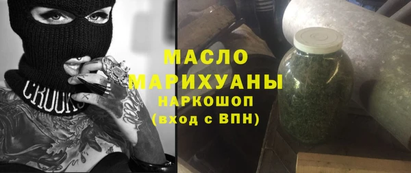 дмт Бородино