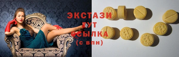 дмт Бородино