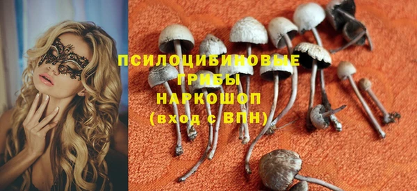 стаф Бугульма