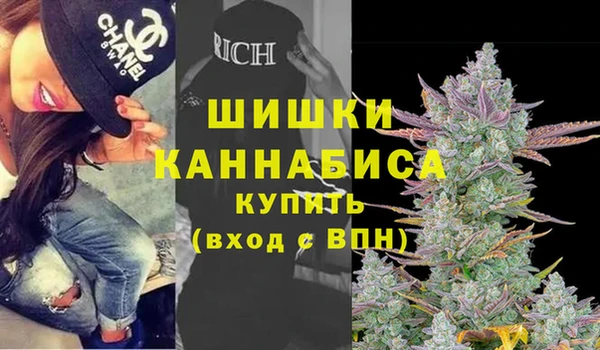 ешки Бронницы