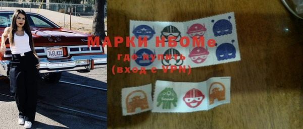 дмт Бородино