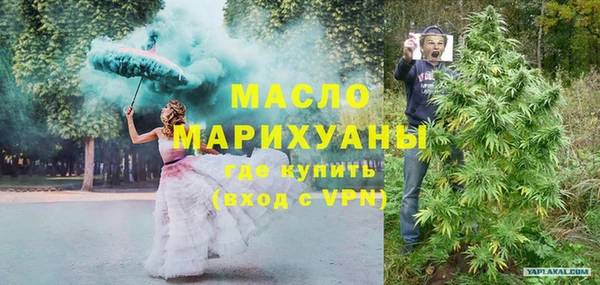 дмт Бородино