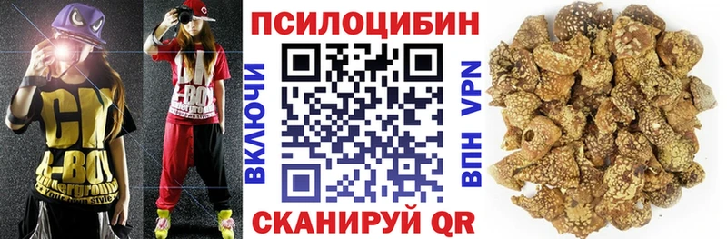 купить наркотик  Городец  Галлюциногенные грибы мицелий 
